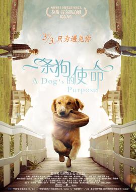 小镇姑娘电影免费播放